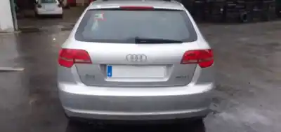 Scrapping Vehicle AUDI A3 SPORTBACK (8P) 1.9 TDI of the year 2009 powered BLS