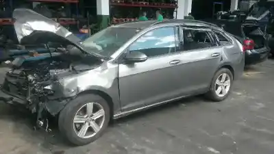 Scrapping Vehicle VOLKSWAGEN GOLF VII LIM. (5G1) Advance BlueMotion of the year 2014 powered CLHA