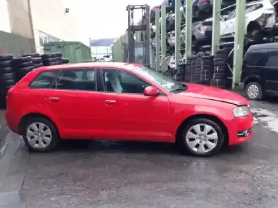Verschrottungsfahrzeug audi a3 sportback (8p) 1.6 tdi des jahres 2011 angetrieben cayc