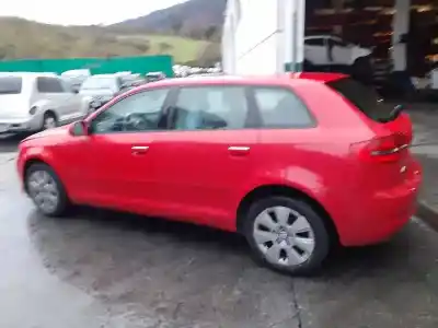 Verschrottungsfahrzeug audi a3 sportback (8p) 1.6 tdi des jahres 2011 angetrieben cayc