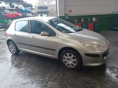 Scrapping Vehicle peugeot                                            307 (3a/c)                                                                                                                                                                                                                                                 1.6                                                                                                                                                                                                                                                        of the year 2006 powered nfu (tu5jp4)