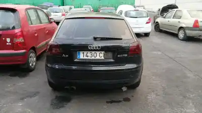 Véhicule à la ferraille audi a3 (8p1) 2.0 tdi 16v quattro de l'année 2003 alimenté bkd