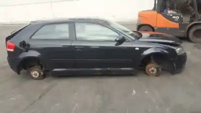 Scrapping Vehicle audi a3 (8p) 2.0 tdi of the year 2003 powered bkd