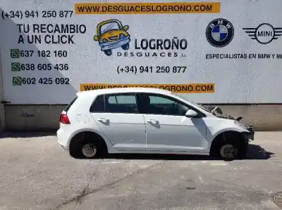 Veicolo di demolizione VOLKSWAGEN GOLF VII LIM. 1.6 TDI DPF dell'anno 2014 alimentato CLHA