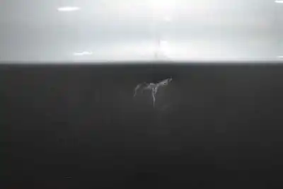 Veículo de Sucata bmw x3 (e83) 2.0 d do ano 2006 alimentado 204d4