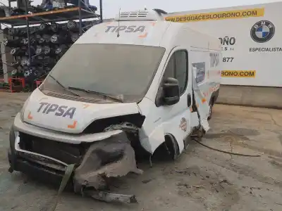 Здавання транспортного засобу fiat ducato furgón (250) 2.3 150 d multijet року 2019 потужний f1agl411c