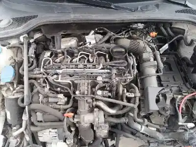 Scrapping Vehicle audi a3 sportback (8pa) 1.6 tdi of the year 2011 powered cayc