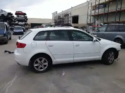 Scrapping Vehicle audi a3 sportback (8pa) 1.6 tdi of the year 2011 powered cayc