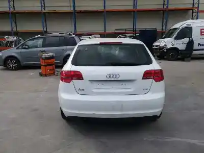Scrapping Vehicle audi a3 sportback (8pa) 1.6 tdi of the year 2011 powered cayc
