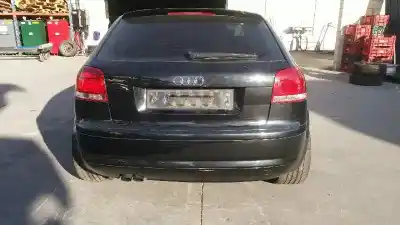 Scrapping Vehicle audi a3 (8p1) 2.0 tdi 16v of the year 2004 powered bkd