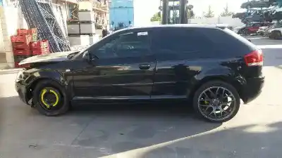 Scrapping Vehicle audi a3 (8p1) 2.0 tdi 16v of the year 2004 powered bkd