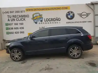 Véhicule à la ferraille audi q7 (4l) 3.0 v6 24v tdi de l'année 2006 alimenté bug