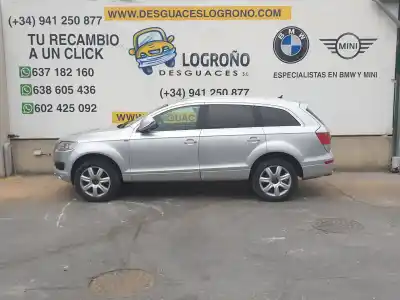 Scrapping Vehicle audi q7 (4l) 3.0 v6 24v tdi of the year 2006 powered bug