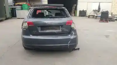 Veículo de Sucata audi a3 sportback (8pa) 1.9 tdi do ano 2007 alimentado bls