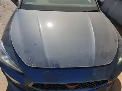 Утилизация автомобиля cupra leon 2.0 tsi года 2022 питание dnpa