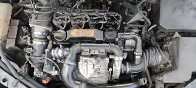 Veículo de Sucata ford focus lim. (cb4) titanium do ano 2009 alimentado g8db