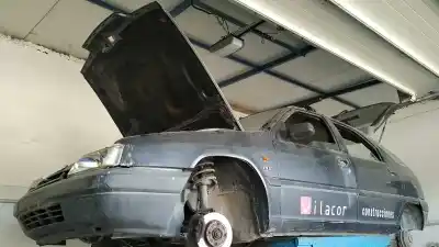 Scrapping Vehicle CITROEN ZX 1.9 D Tentation of the year 1992 powered D9BXUD9AU