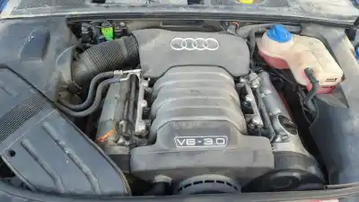Verschrottungsfahrzeug audi a4 berlina (8e) 3.0 des jahres 2003 angetrieben asn