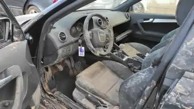 Scrapping Vehicle audi a3 sportback (8p) 1.9 tdi of the year 2008 powered bxe