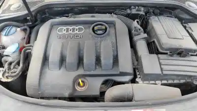 Scrapping Vehicle audi a3 sportback (8p) 1.9 tdi of the year 2008 powered bxe