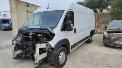 Veicolo di demolizione peugeot boxer furgón furgon dell'anno 2021 alimentato 4h03