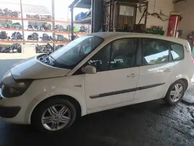 Scrapping Vehicle renault scénic ii (jm0/1_) 1.9 dci (jm0g, jm12, jm1g, jm2c) of the year 2005 powered f9q812