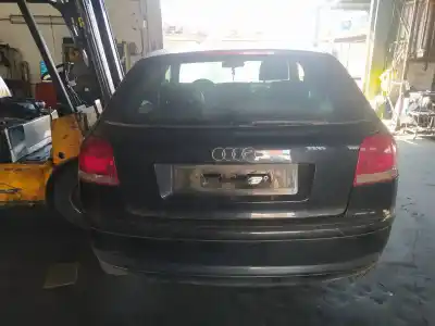 Scrapping Vehicle audi a3 (8p1) 2.0 tdi 16v of the year 2004 powered bkd