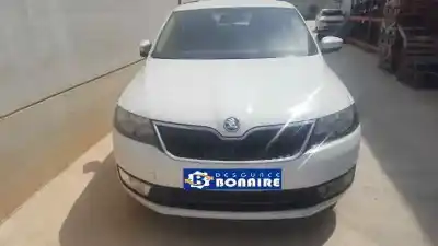 Scrapping Vehicle SKODA RAPID (NH) (07.2012->) 1.6 Active [1.6 Ltr. - 77 kW TDI DPF] of the year 2013 powered CAY