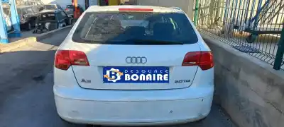 Scrapping Vehicle audi a3 sportback (8p) 2.0 tdi ambiente of the year 2008 powered bkd