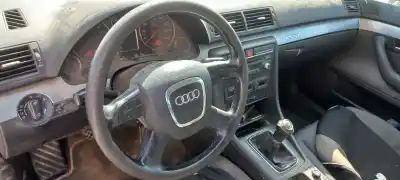 Veicolo di demolizione audi a4 berlina (8e) 2.0 tdi dell'anno 2006 alimentato bpw