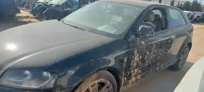 Veicolo di demolizione audi a3 (8p) 2.0 tdi attraction dell'anno 2008 alimentato cba