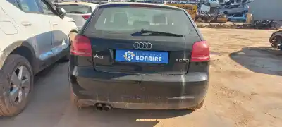Veicolo di demolizione audi a3 (8p) 2.0 tdi attraction dell'anno 2008 alimentato cba