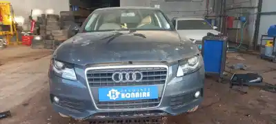 Scrapping Vehicle AUDI A4 BERLINA (B8) PREMIUM of the year 0 powered CDN
