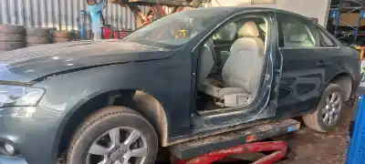 Veículo de Sucata audi a4 berlina (b8) premium do ano 0 alimentado cdn