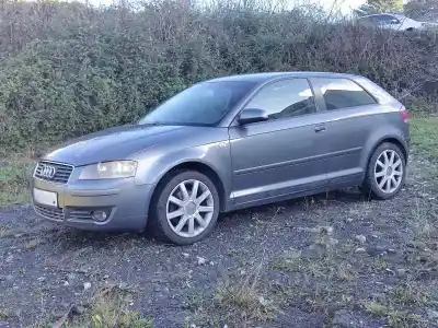 Scrapping Vehicle AUDI A3 (8P)  of the year 2003 powered 2.0 TDI (BKD)