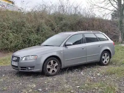 Veículo de Sucata audi a4 avant (8e) a4 avant 8e do ano 2005 alimentado 2.0 tdi (blb)