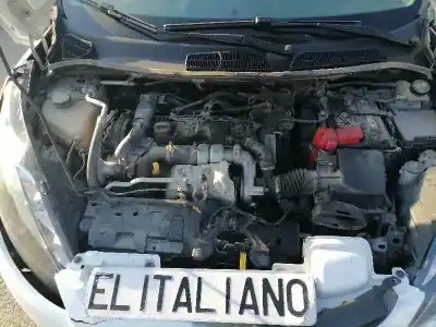 Scrapping Vehicle ford fiesta vi (cb1, ccn) 1.6 tdci of the year 2011 powered tzjb