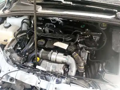 Veículo de Sucata ford focus berlina (cb8) d-t1da do ano 2014 alimentado t1da