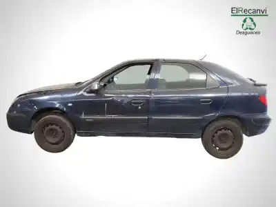 Veículo de Sucata citroen xsara berlina 1.6 16v cat (nfu / tu5jp4) do ano 2003 alimentado nfutu5jp4