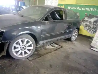 Veicolo di demolizione audi a3 (8p1) 2.0 tdi 16v dell'anno 2004 alimentato bkd