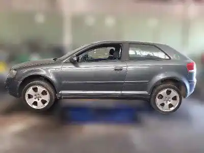 Scrapping Vehicle audi a3 (8p1) 2.0 tdi 16v of the year 2004 powered bkd
