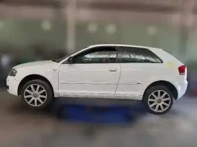 Veicolo di demolizione audi a3 (8p1) 2.0 tdi 16v dell'anno 2004 alimentato bkd