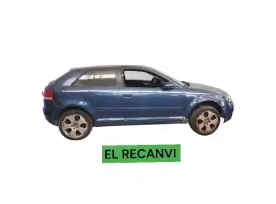 Scrapping Vehicle audi a3 (8p1) 2.0 tdi 16v of the year 2003 powered bkd