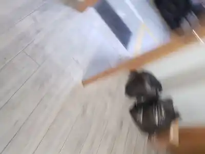 Scrapping Vehicle citroen saxo (s0, s1) 1.5 d of the year 1999 powered vjz (tud5)