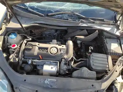 Scrapping Vehicle volkswagen golf v berlina (1k1) conceptline (e) of the year 2008 powered cax