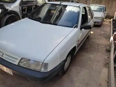 Veicolo di demolizione citroen zx 1.9 d avantage dell'anno 1995 alimentato d9b