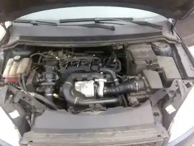 Veículo de Sucata ford focus berlina (cap) ambiente (d) do ano 2006 alimentado hhda