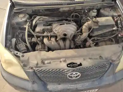 Scrapping Vehicle toyota corolla (e12) 1.6 16v of the year 2003 powered 