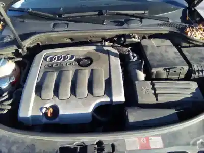 Veículo de Sucata audi a3 (8p) 2.0 tdi do ano 2003 alimentado bkd