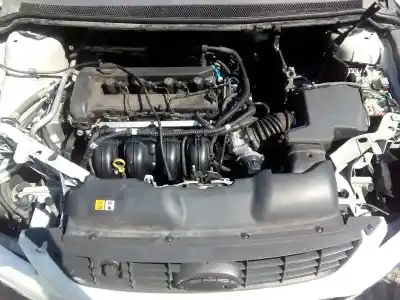 Veículo de Sucata ford focus berlina (cap) ghia do ano 2009 alimentado q7da